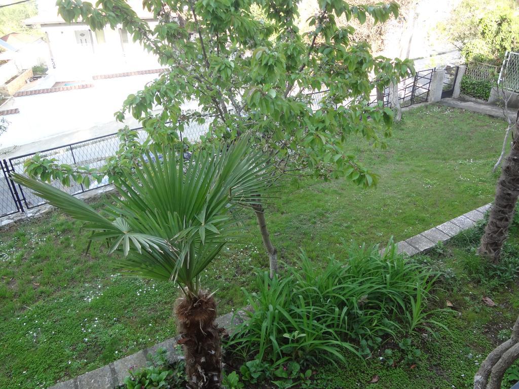 Apartments 64 Dojran Zewnętrze zdjęcie